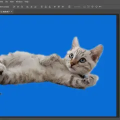 Jak zmienić kolor tła w Photoshopie - proste metody krok po kroku
