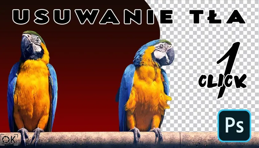 Jak usunąć białe tło w Photoshopie - proste metody krok po kroku
